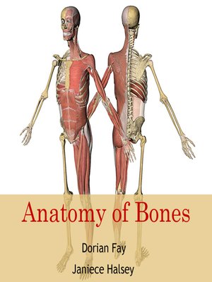 cover image of Anatomy of Bones